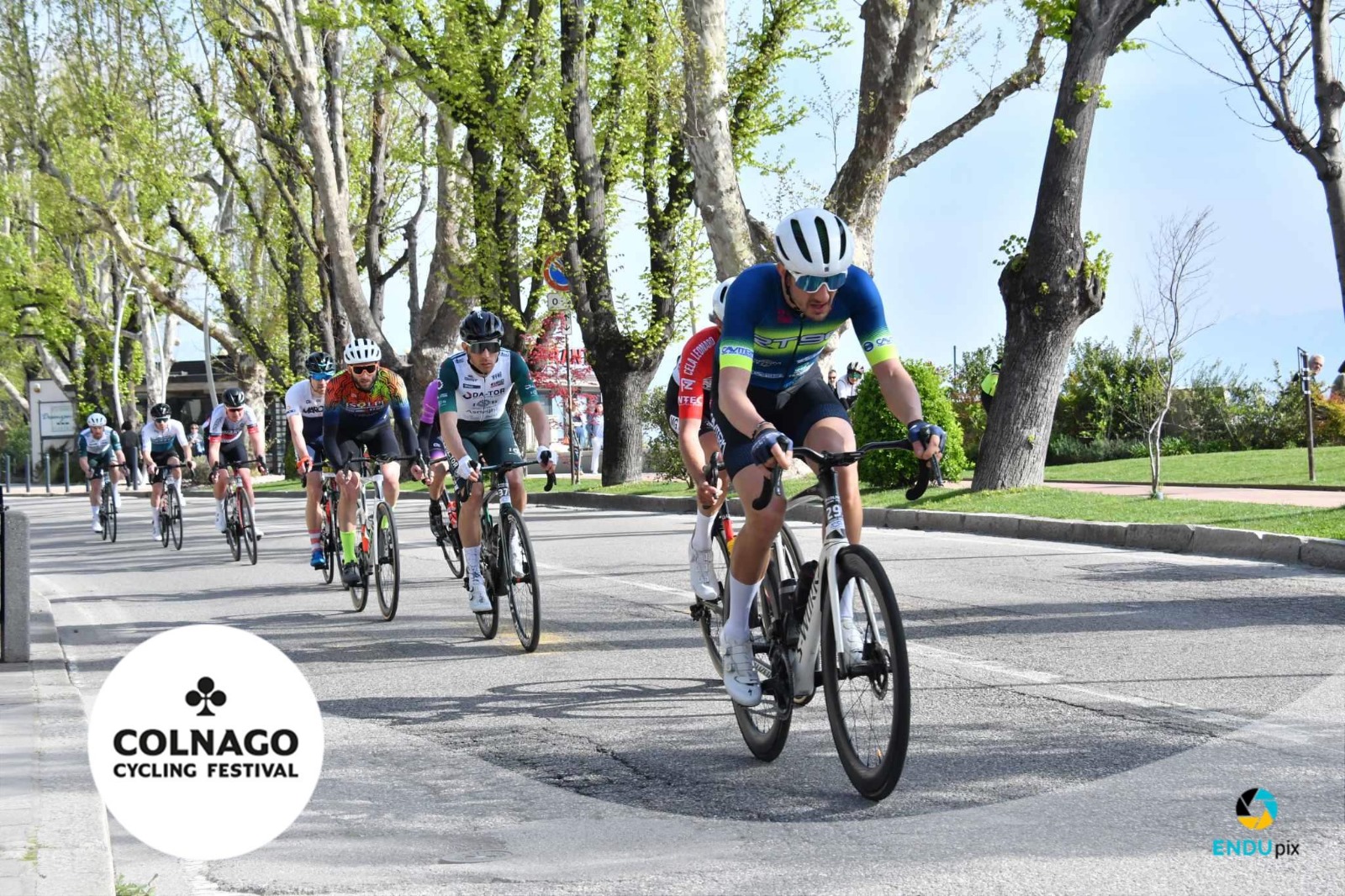colago8